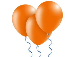 Ballonnen kopen gevuld met helium BSH Partyservice